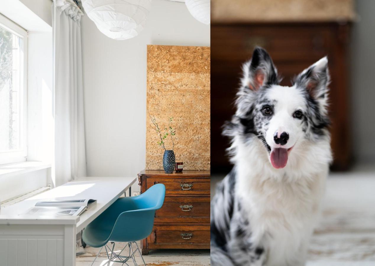 White Loft Stare Bielany Vintage Slow Βαρσοβία Εξωτερικό φωτογραφία